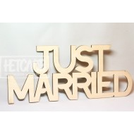 JUST MARRIED